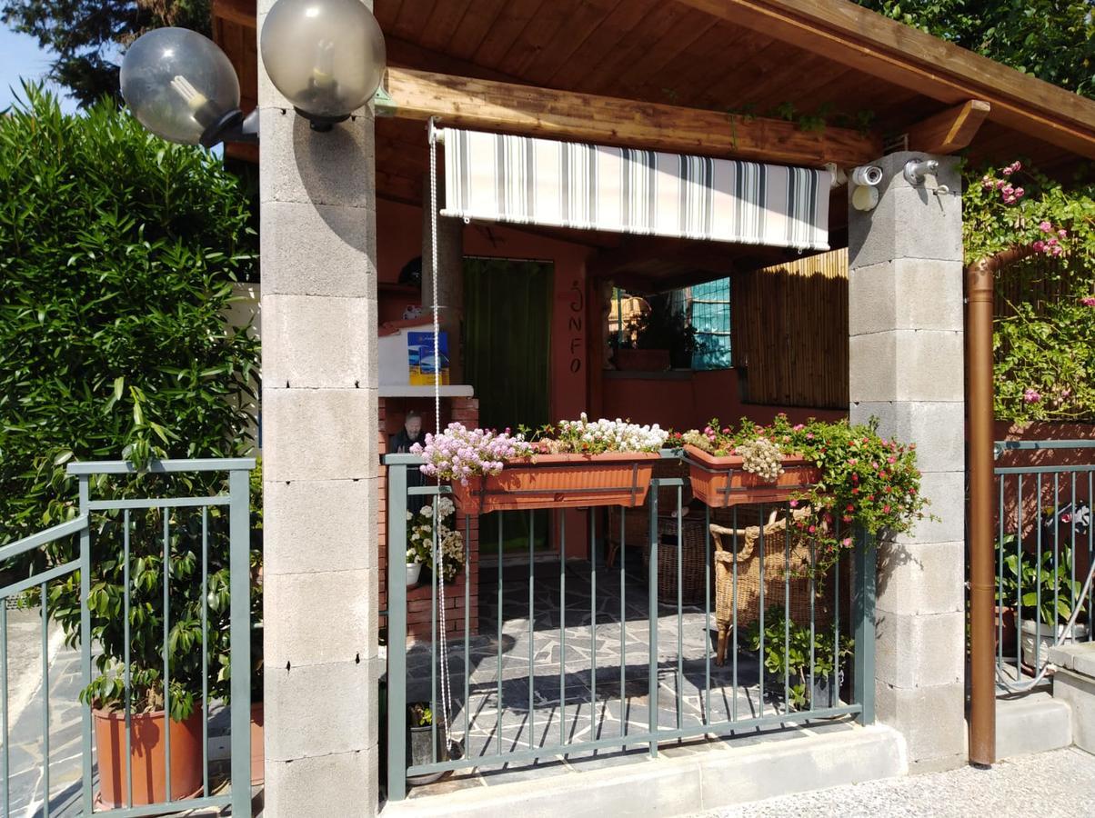 Casa Vacanze Mimose Palinuro Eksteriør billede