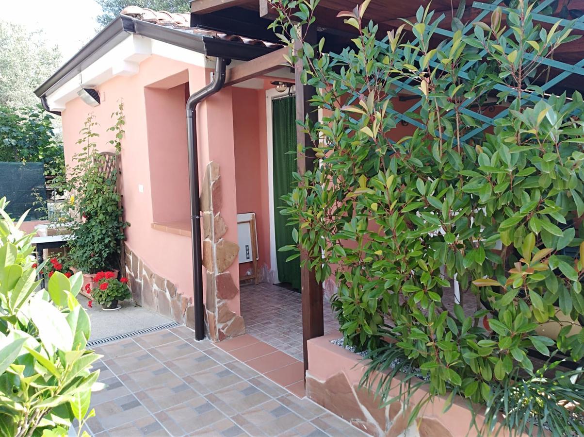 Casa Vacanze Mimose Palinuro Eksteriør billede