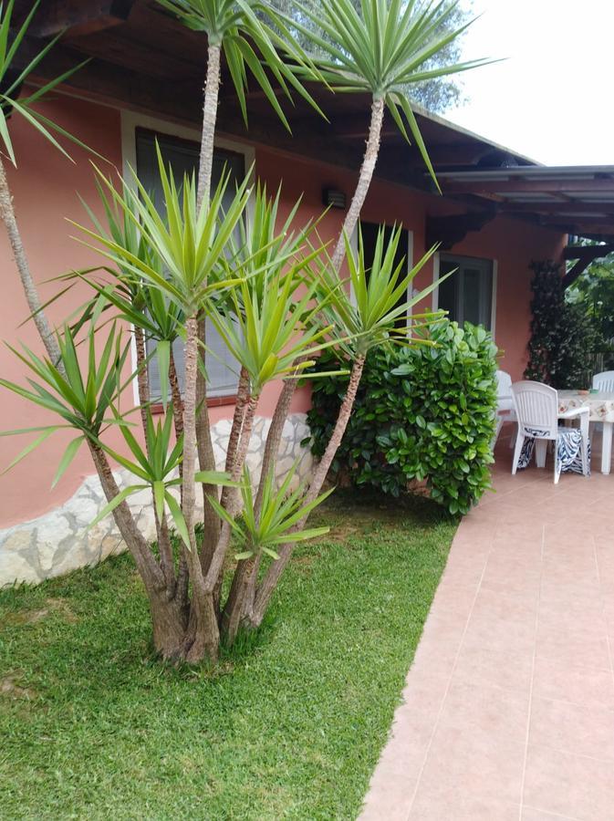 Casa Vacanze Mimose Palinuro Eksteriør billede